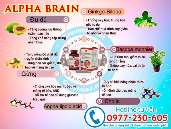 alpha-brain-thanh-phan