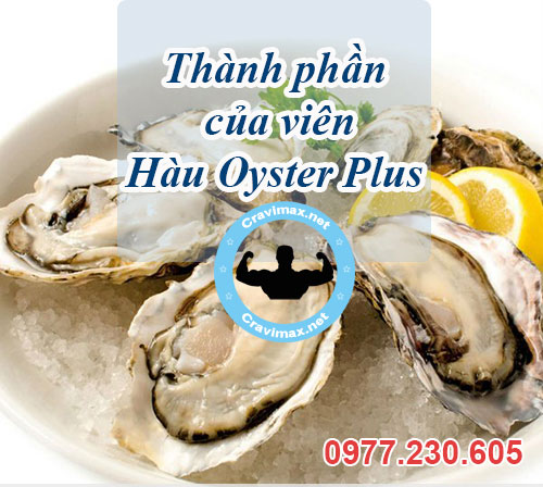 thành phần oyster plus