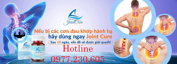Công dụng Joint Cure