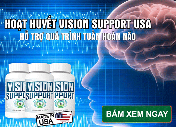 vision-support-usa