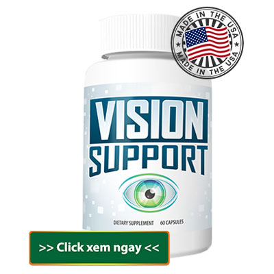 vision suport usa
