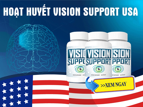 vision support usa