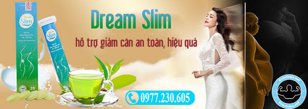 dream-slim-211