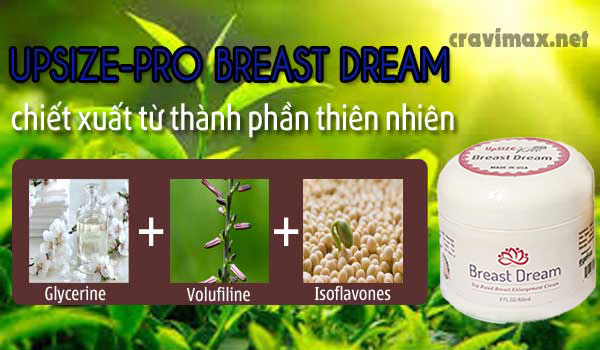 thành phần kem nở ngực UPSIZE-PRO BREAST DREAM