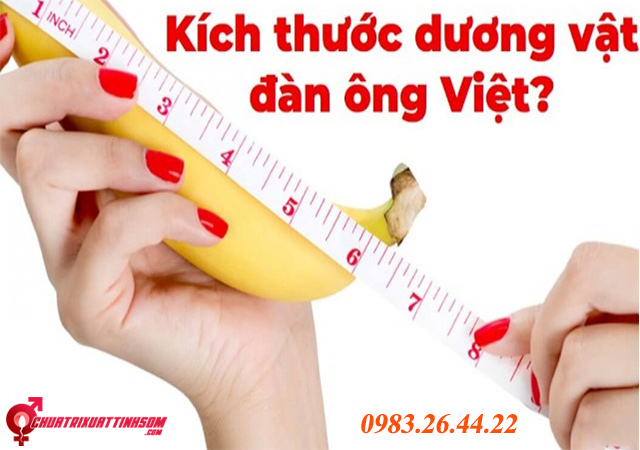 kich-thuoc-duong-vat-dan-ong-viet